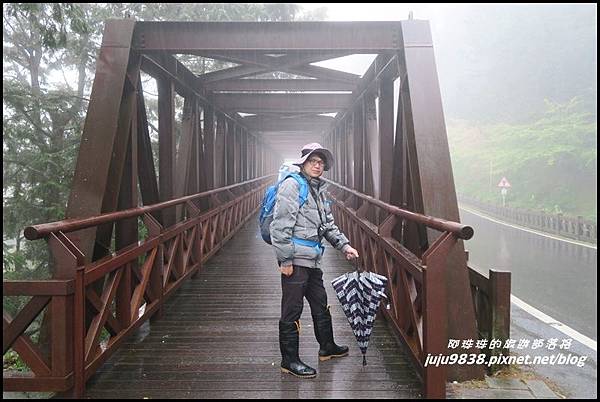 阿里山26.JPG 阿里山26.JPG