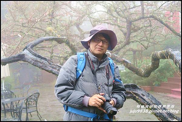 阿里山43.JPG 阿里山43.JPG