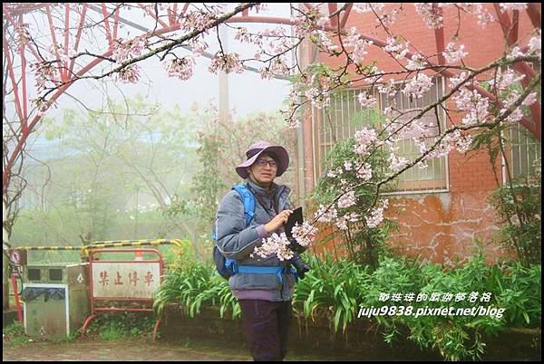 阿里山50.JPG 阿里山50.JPG