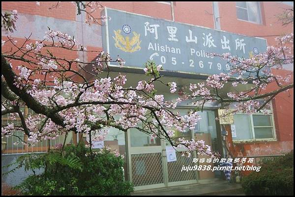 阿里山52.JPG 阿里山52.JPG