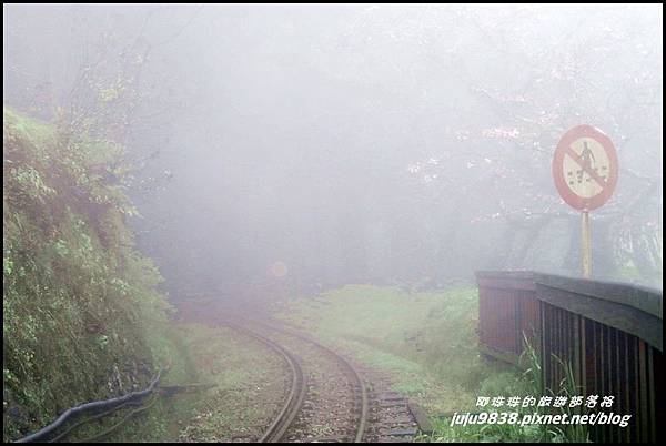 阿里山54.JPG 阿里山54.JPG