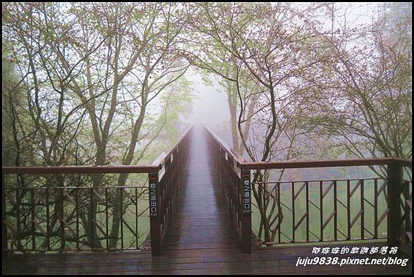 阿里山55.JPG 阿里山55.JPG