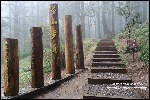 阿里山58.JPG 阿里山58.JPG