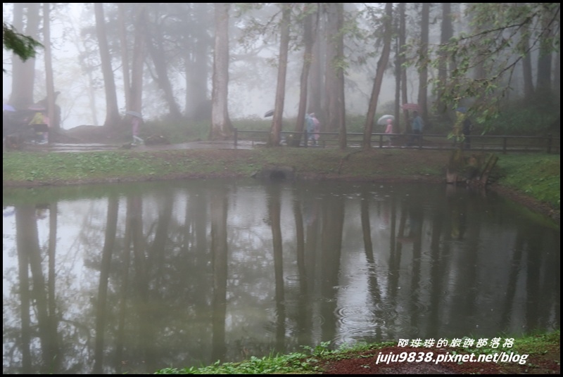 阿里山59.JPG 阿里山59.JPG