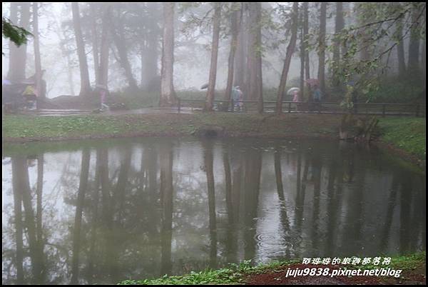 阿里山59.JPG 阿里山59.JPG