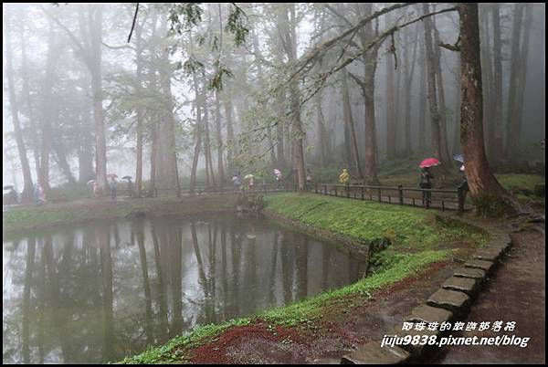 阿里山60.JPG 阿里山60.JPG
