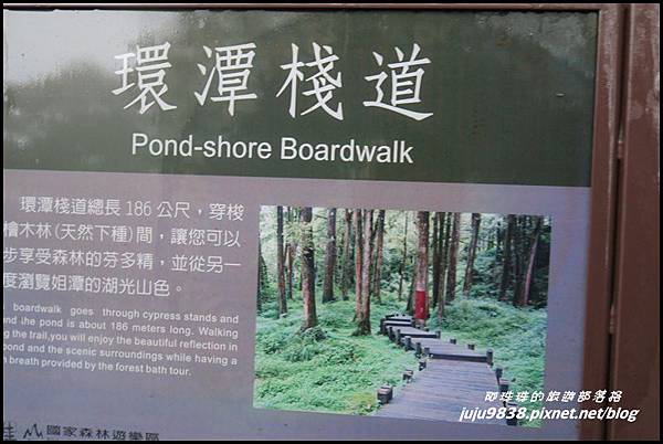 阿里山61.JPG 阿里山61.JPG