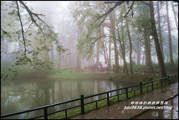 阿里山62.JPG 阿里山62.JPG