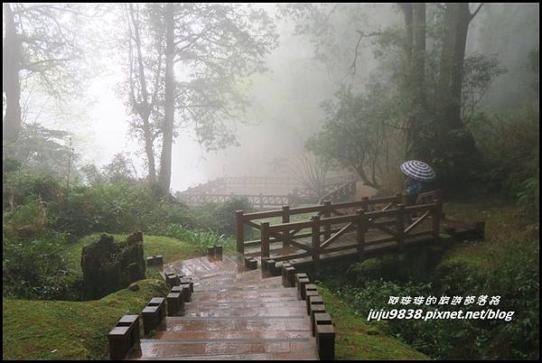 阿里山66.JPG 阿里山66.JPG