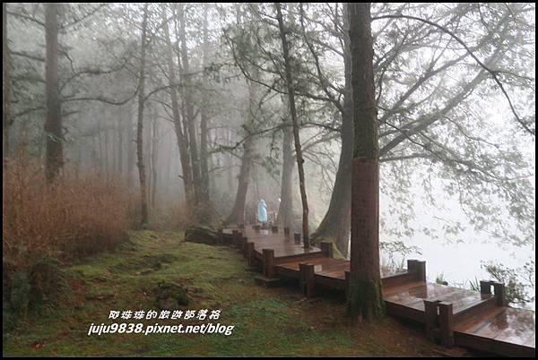 阿里山69.JPG 阿里山69.JPG