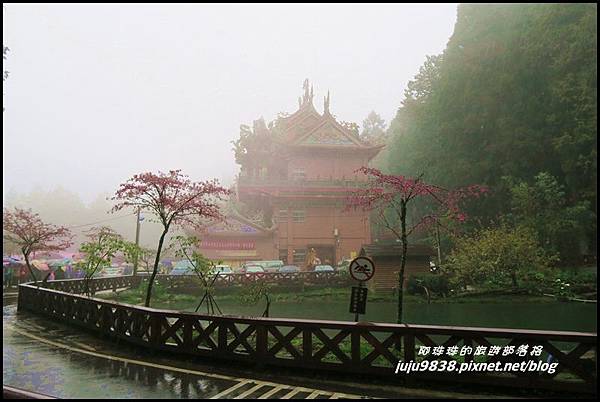 阿里山73.JPG 阿里山73.JPG