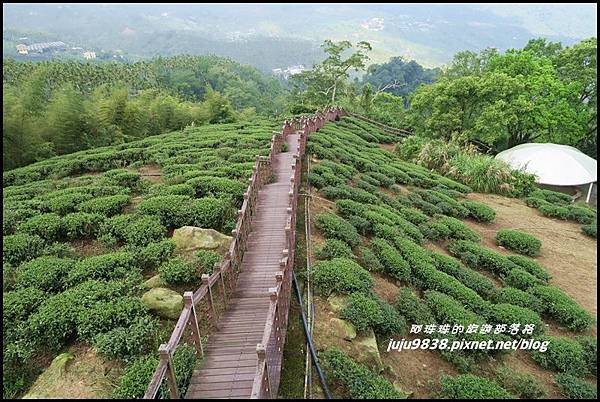 瑞里太興岩步道3.JPG 瑞里太興岩步道3.JPG