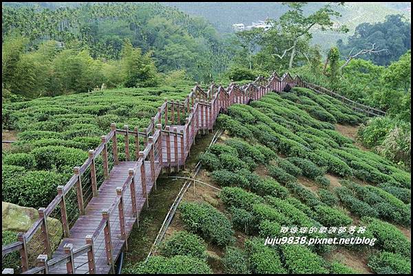 瑞里太興岩步道4.JPG 瑞里太興岩步道4.JPG