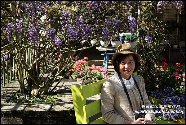 瑞里紫藤花季1.JPG 瑞里紫藤花季1.JPG