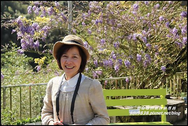 瑞里紫藤花季5.JPG 瑞里紫藤花季5.JPG