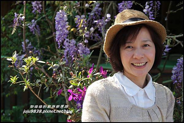 瑞里紫藤花季7.JPG 瑞里紫藤花季7.JPG