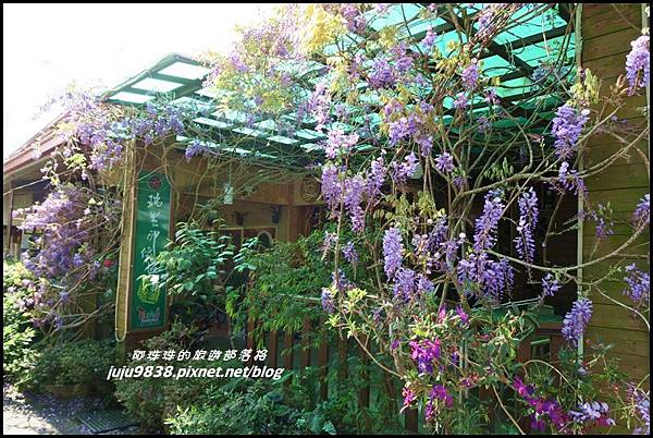 瑞里紫藤花季23.JPG