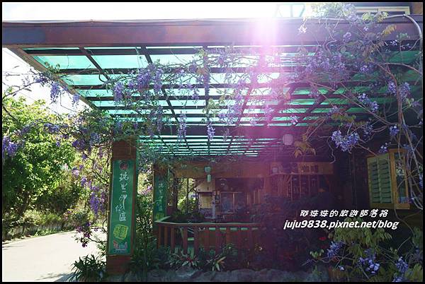 瑞里紫藤花季24.JPG 瑞里紫藤花季24.JPG