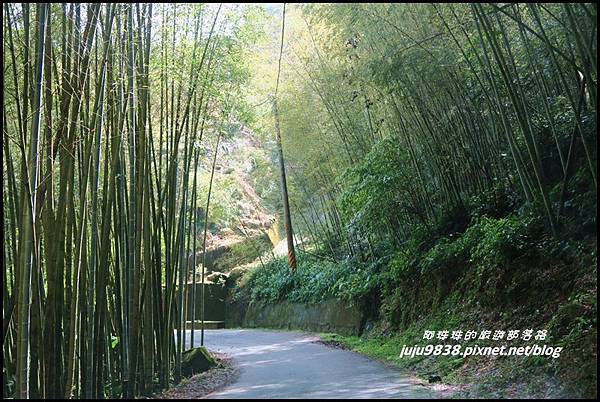 瑞里綠色隧道5.JPG 瑞里綠色隧道5.JPG