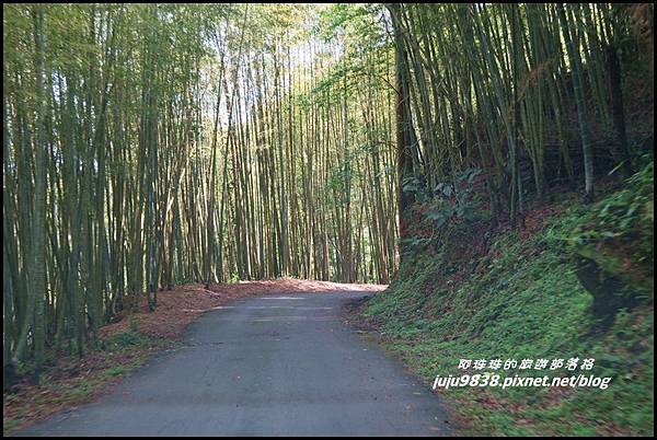 瑞里綠色隧道4.JPG 瑞里綠色隧道4.JPG