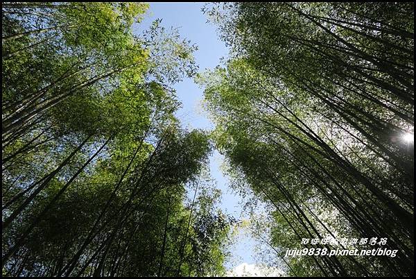 瑞里綠色隧道9.JPG 瑞里綠色隧道9.JPG