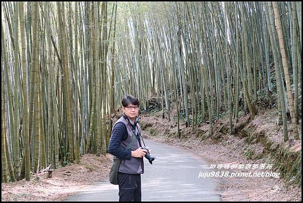 瑞里綠色隧道10.JPG 瑞里綠色隧道10.JPG