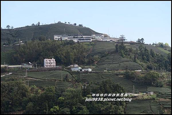 瑞里綠色隧道14.JPG 瑞里綠色隧道14.JPG