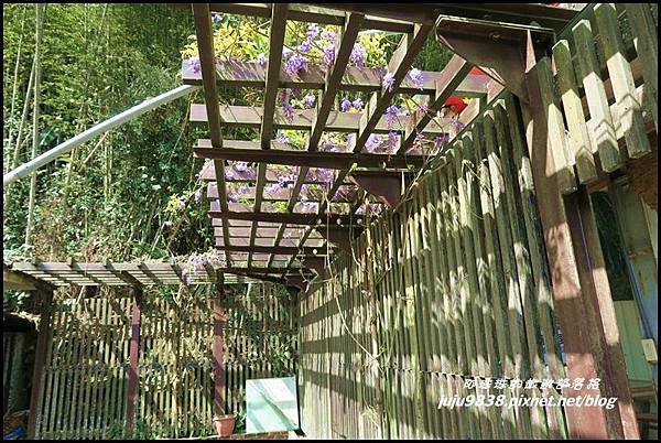 瑞里綠色隧道16.JPG 瑞里綠色隧道16.JPG