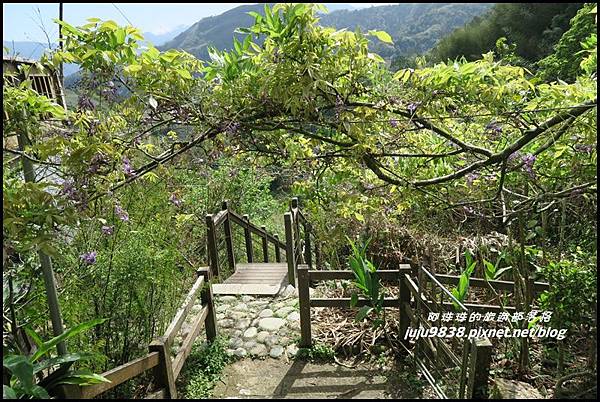 瑞里綠色隧道21.JPG 瑞里綠色隧道21.JPG