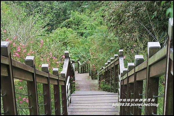 瑞里綠色隧道24.JPG 瑞里綠色隧道24.JPG