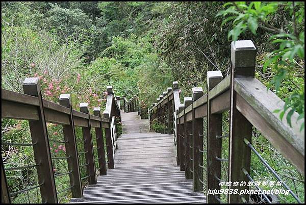 瑞里綠色隧道25.JPG 瑞里綠色隧道25.JPG