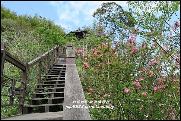 瑞里綠色隧道27.JPG 瑞里綠色隧道27.JPG