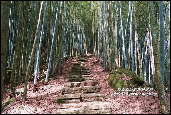 瑞里綠色隧道32.JPG 瑞里綠色隧道32.JPG