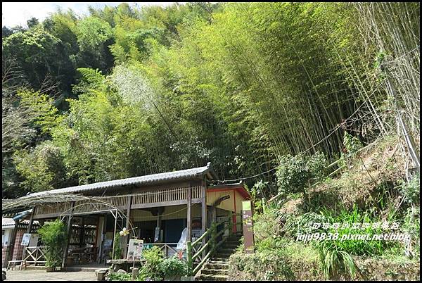 瑞里綠色隧道34.JPG 瑞里綠色隧道34.JPG