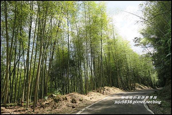 瑞里綠色隧道36.JPG 瑞里綠色隧道36.JPG