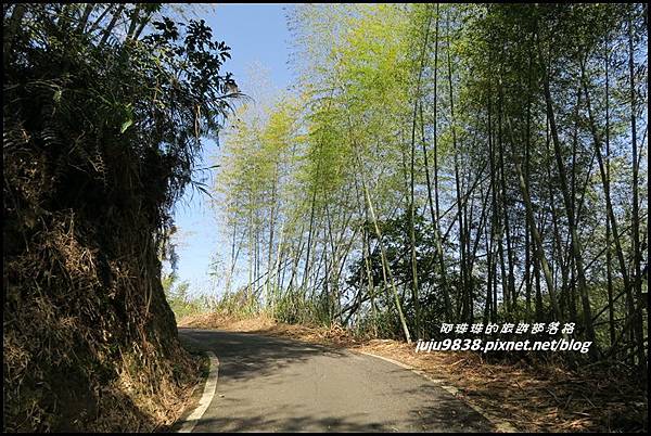 瑞里綠色隧道35.JPG 瑞里綠色隧道35.JPG