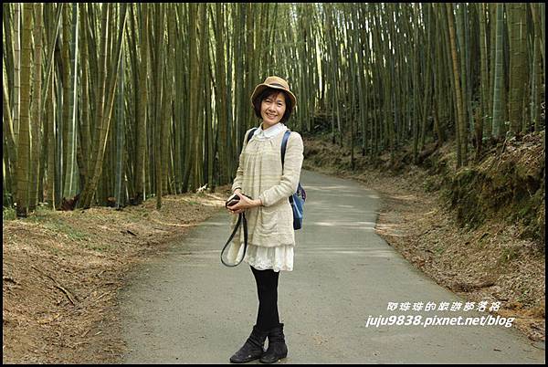 瑞里綠色隧道38.JPG 瑞里綠色隧道38.JPG