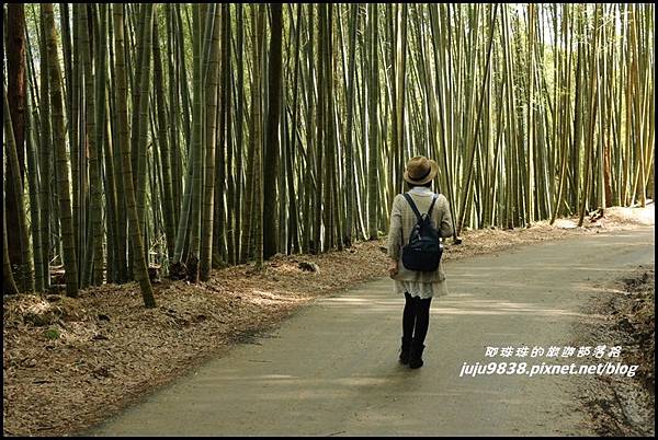 瑞里綠色隧道39.JPG 瑞里綠色隧道39.JPG