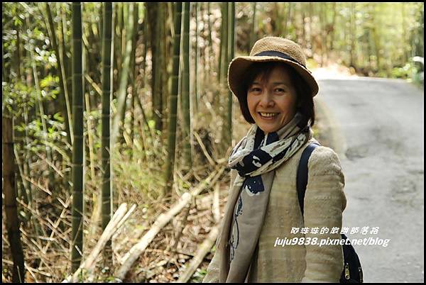 瑞里綠色隧道41.JPG 瑞里綠色隧道41.JPG