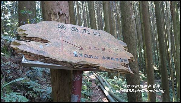 加里山13.JPG 加里山13.JPG