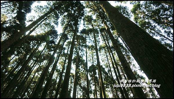 加里山15.JPG 加里山15.JPG