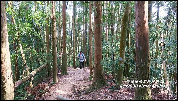 加里山24.JPG 加里山24.JPG