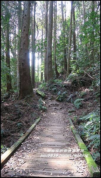 加里山26.JPG 加里山26.JPG