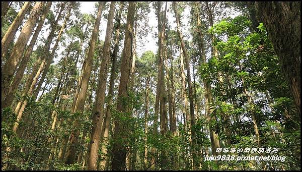 加里山30.JPG 加里山30.JPG