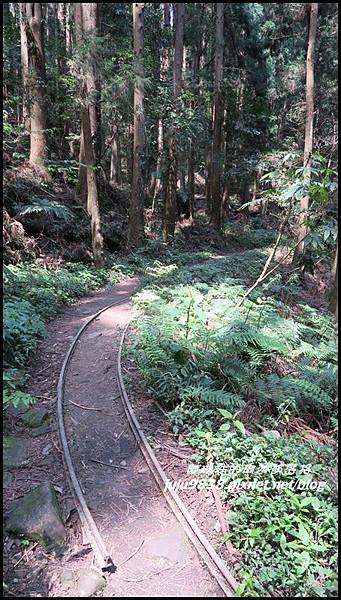 加里山40.JPG 加里山40.JPG