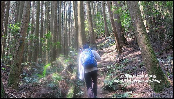 加里山48.JPG 加里山48.JPG