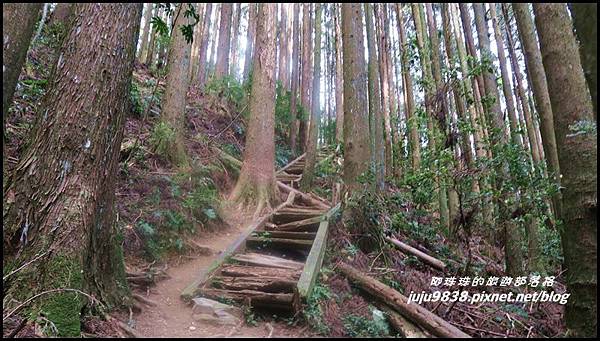 加里山50.JPG 加里山50.JPG