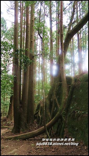 加里山51.JPG 加里山51.JPG