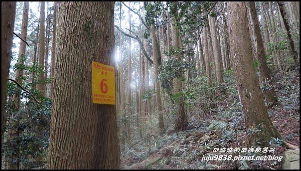 加里山53.JPG 加里山53.JPG