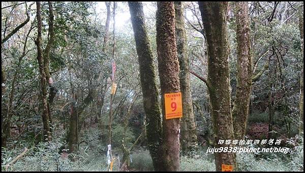 加里山64.JPG 加里山64.JPG